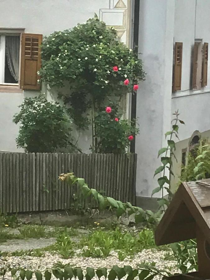Alte Post Mit Geschichte Und Restaurant Apartment Tavanasa Bagian luar foto